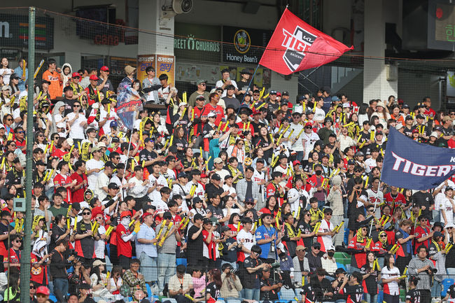 3루 관중석을 가득 메운 KIA 팬들이 14일 대전 한화전에서 열띤 응원을 보내고 있다. /KIA 타이거즈 제공