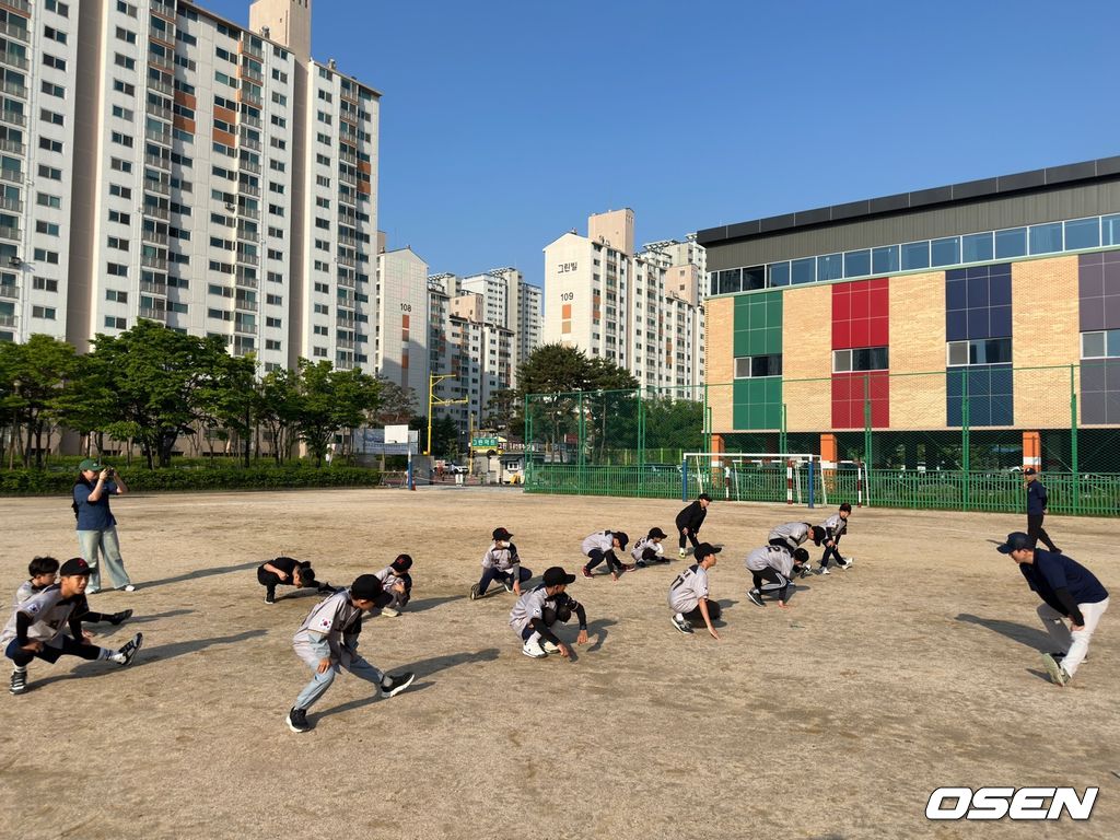 티볼연맹 제공