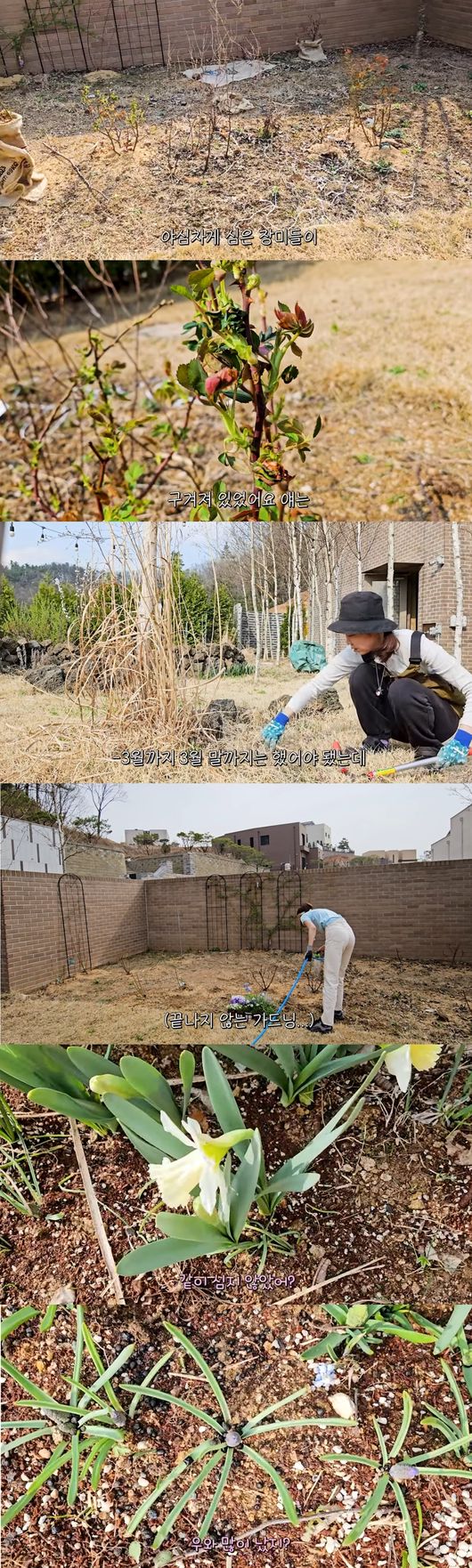 '당분간 공효진' 영상