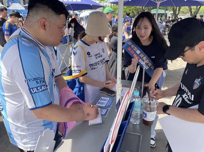 스포츠토토 제공 