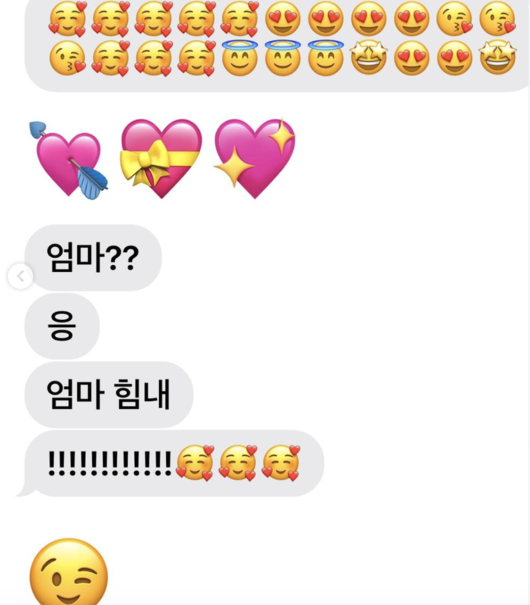 장영란 SNS