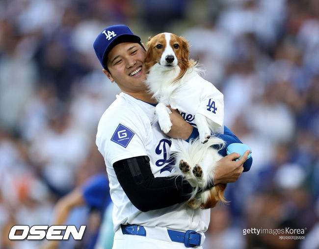 [사진] LA 다저스 오타니 쇼헤이가 반려견 디코이를 품에 안으며 웃고 있다. ⓒGettyimages(무단전재 및 재배포 금지)