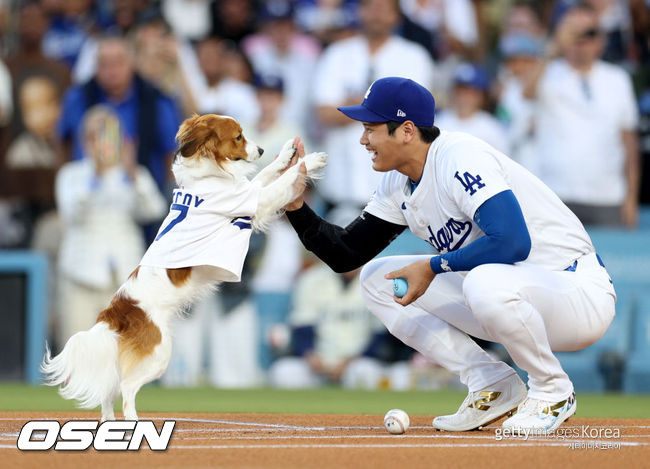 [사진] LA 다저스 오타니 쇼헤이가 반려견 디코이가 시구 퍼포먼스를 펼치고 있다. ⓒGettyimages(무단전재 및 재배포 금지)