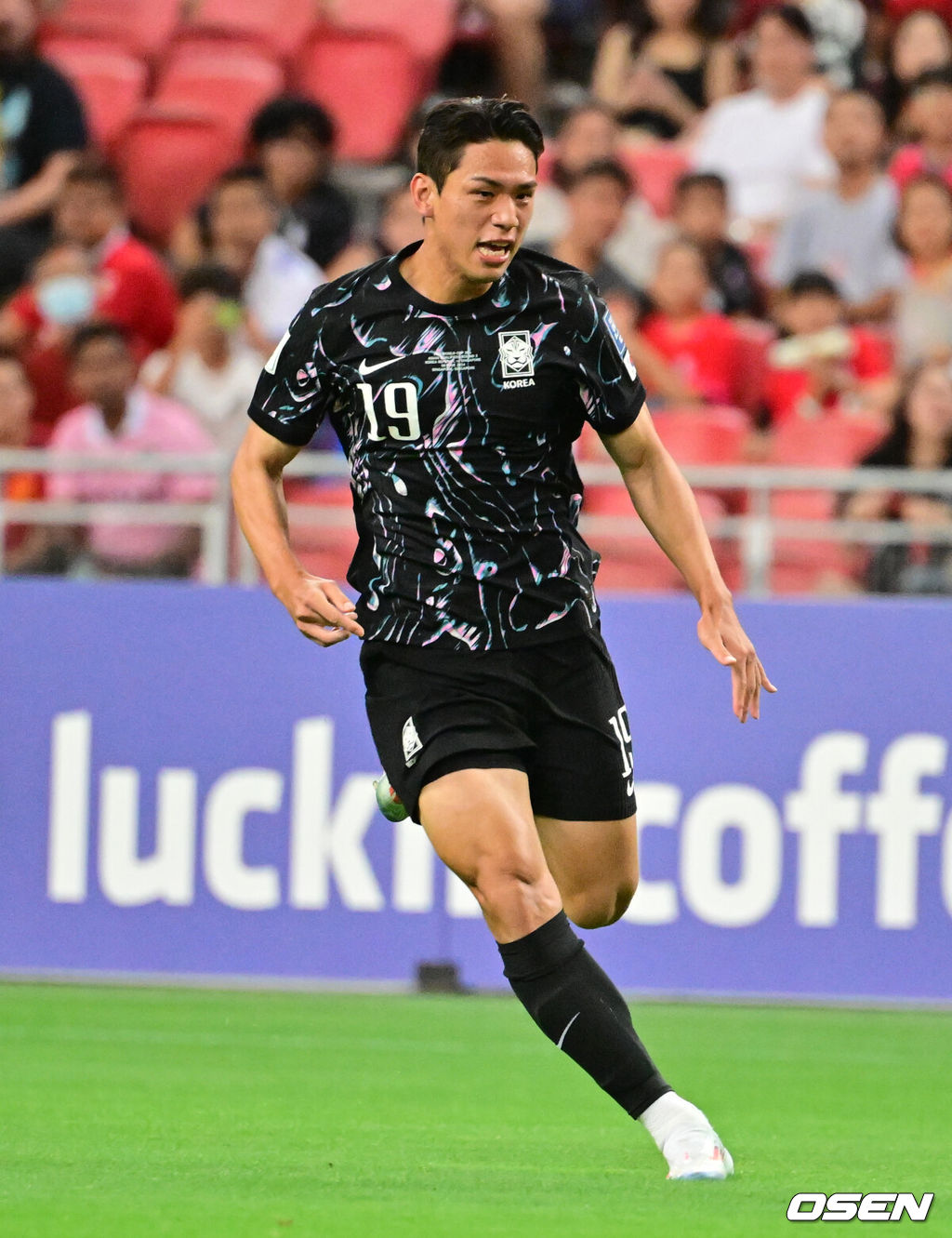 축구대표팀 오세훈.2024.06.06 /cej@osen.co.kr