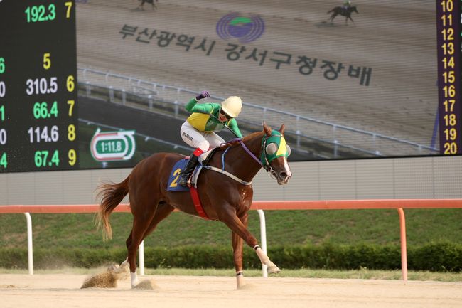 [사진]위너클리어 /한국마사회 제공