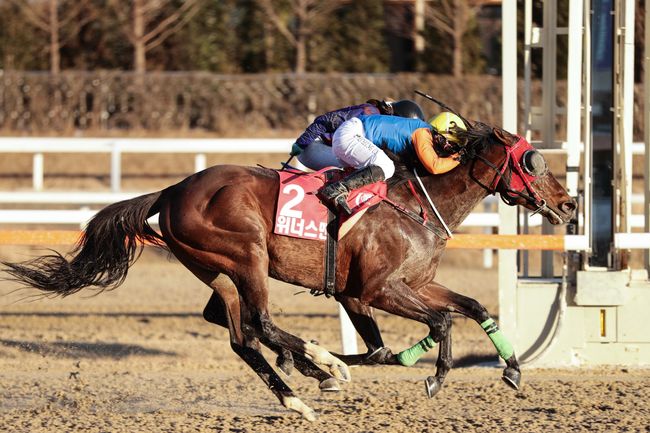 [사진]위너스맨과 서승운 기수 /한국마사회 제공