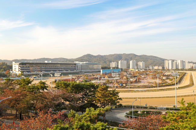 [사진]한국마사회 제공