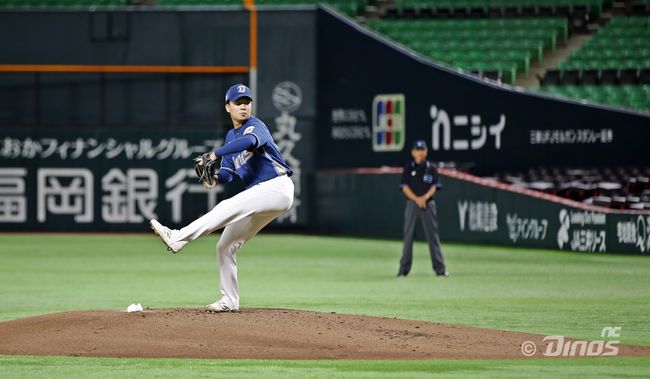 NC 다이노스 제공 