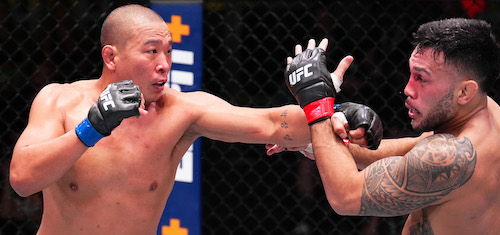 LAS VEGAS, NEVADA - OCTOBER 12: (L-R) JunYong Park of South Korea punches Brad Tavares in a middleweight fight during the UFC Fight Night event at UFC APEX on October 12, 2024 in Las Vegas, Nevada.  (Photo by Chris Unger/Zuffa LLC)