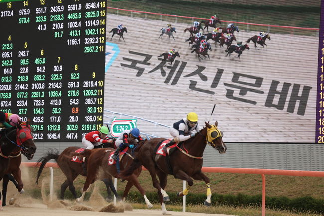 [사진]한국마사회 제공