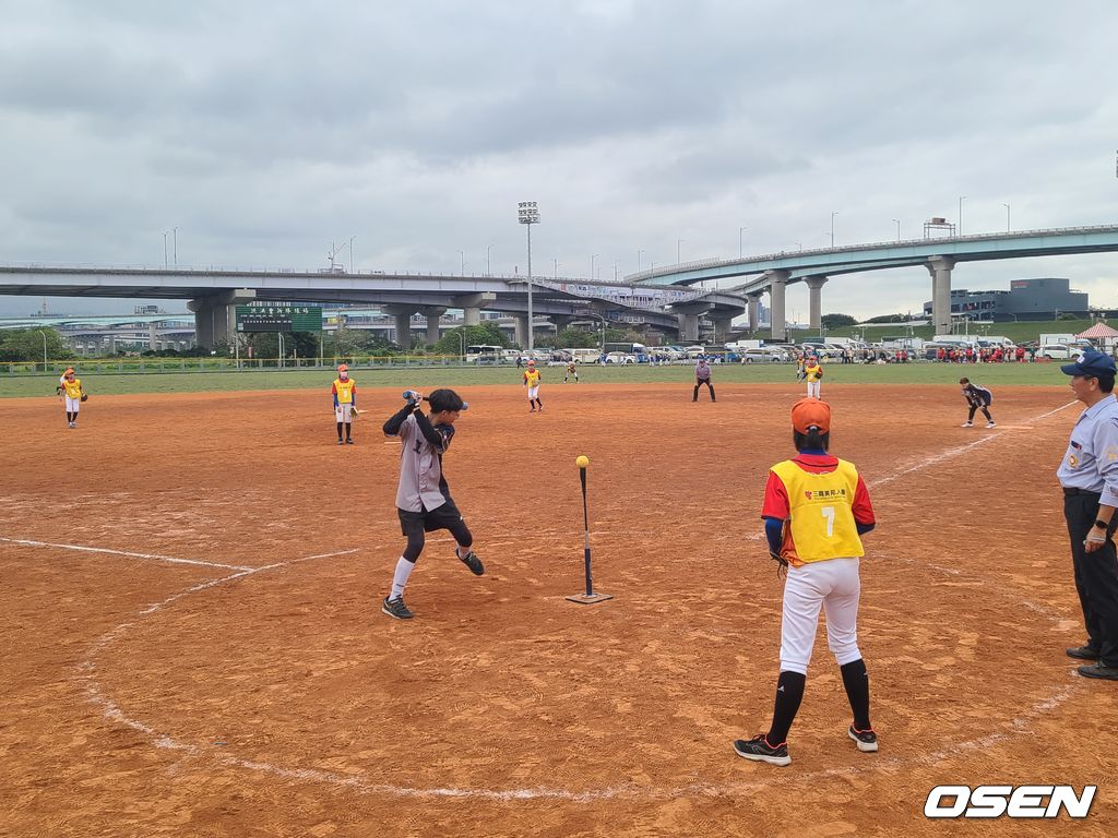 한국티볼연맹 제공