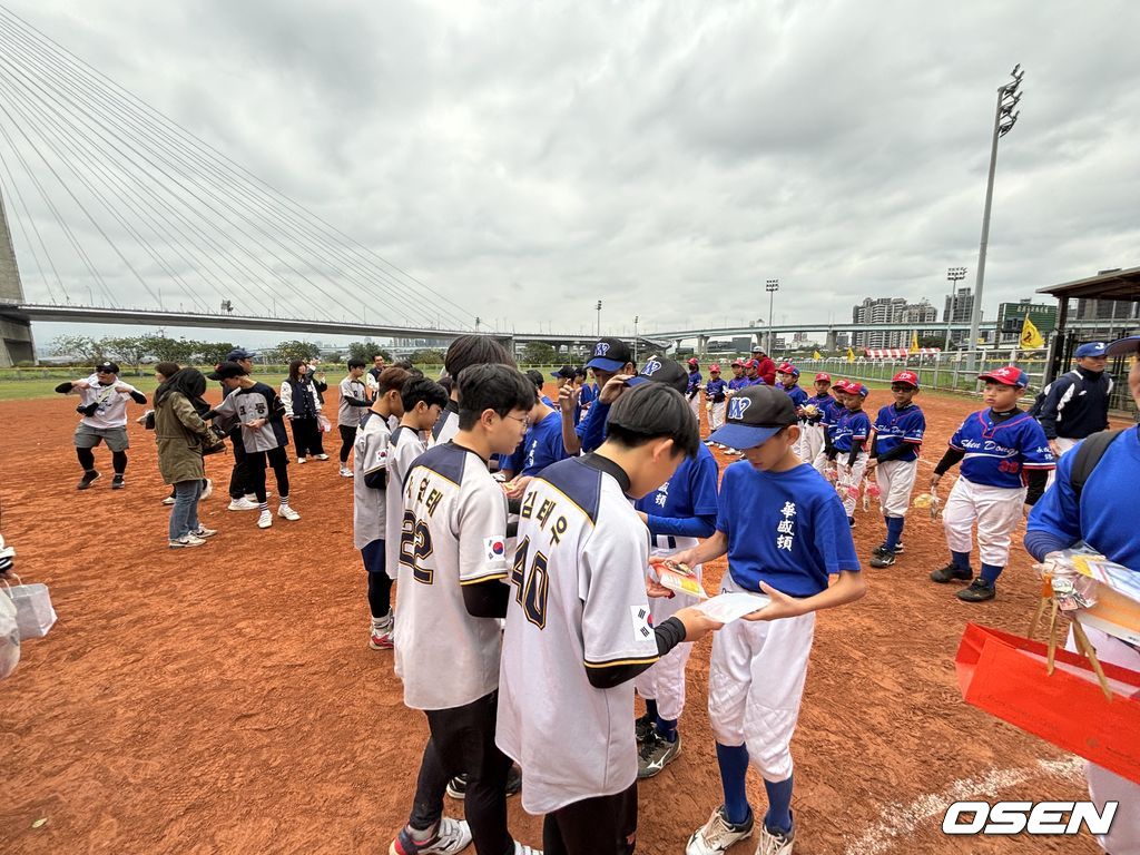 한국티볼연맹 제공