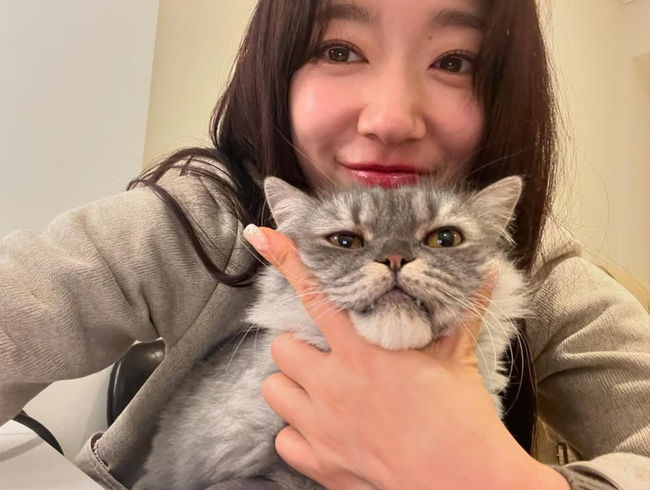 사진 : 박신혜
