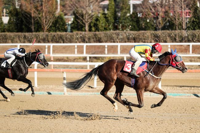 [사진]한국마사회 제공
