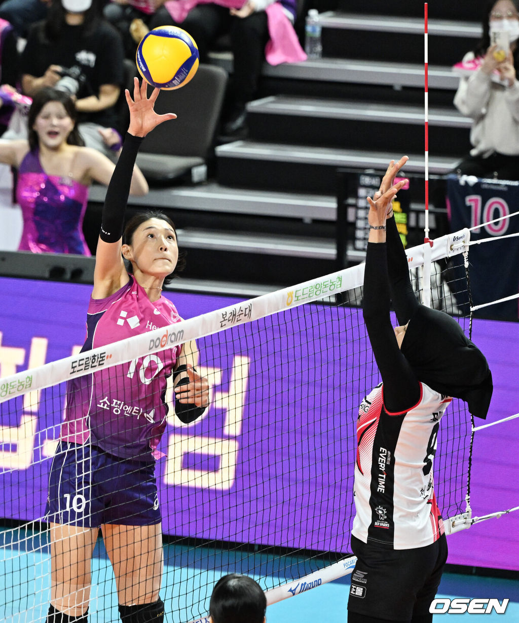 OSEN DB