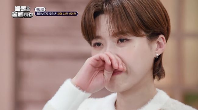 방송 화면 캡쳐