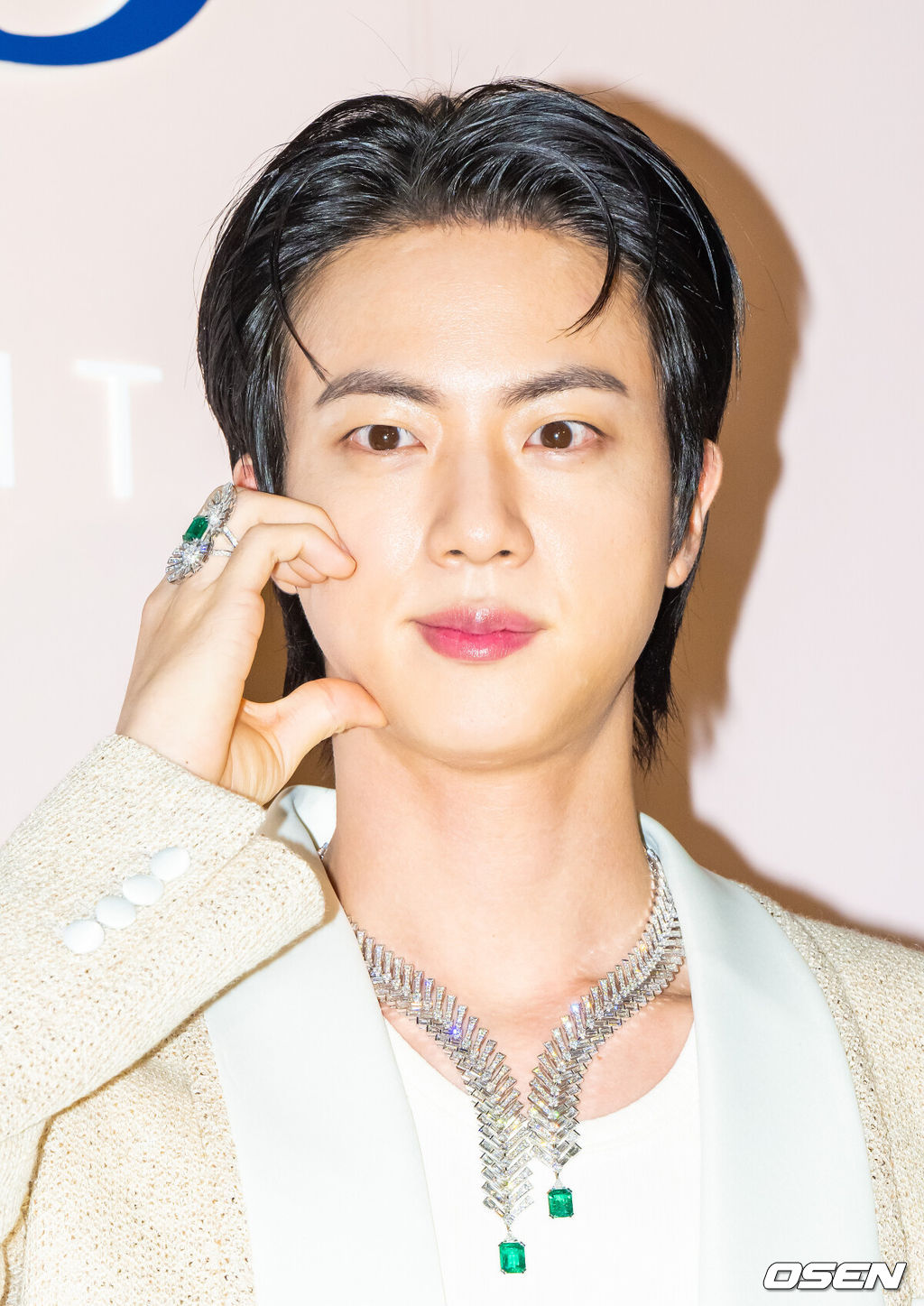 13일 오후 조선 팰리스 서울 강남에서 2025 무슈 프레드 아이디얼 라이트 하이주얼리 이벤트 셀럽 포토콜 행사가 진행됐다.이날 행사에는 BTS 진 (브랜드 앰배서더)과 김혜수, 차승원, 이성경, 박세리, 오상욱이 참석했다.BTS 진이 포즈를 취하고 있다.  2025.03.13   / soul1014@osen.co.kr