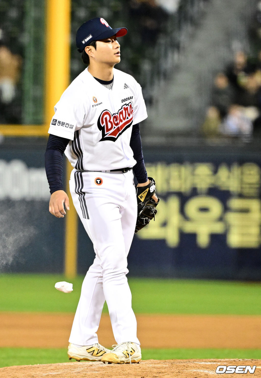 OSEN DB