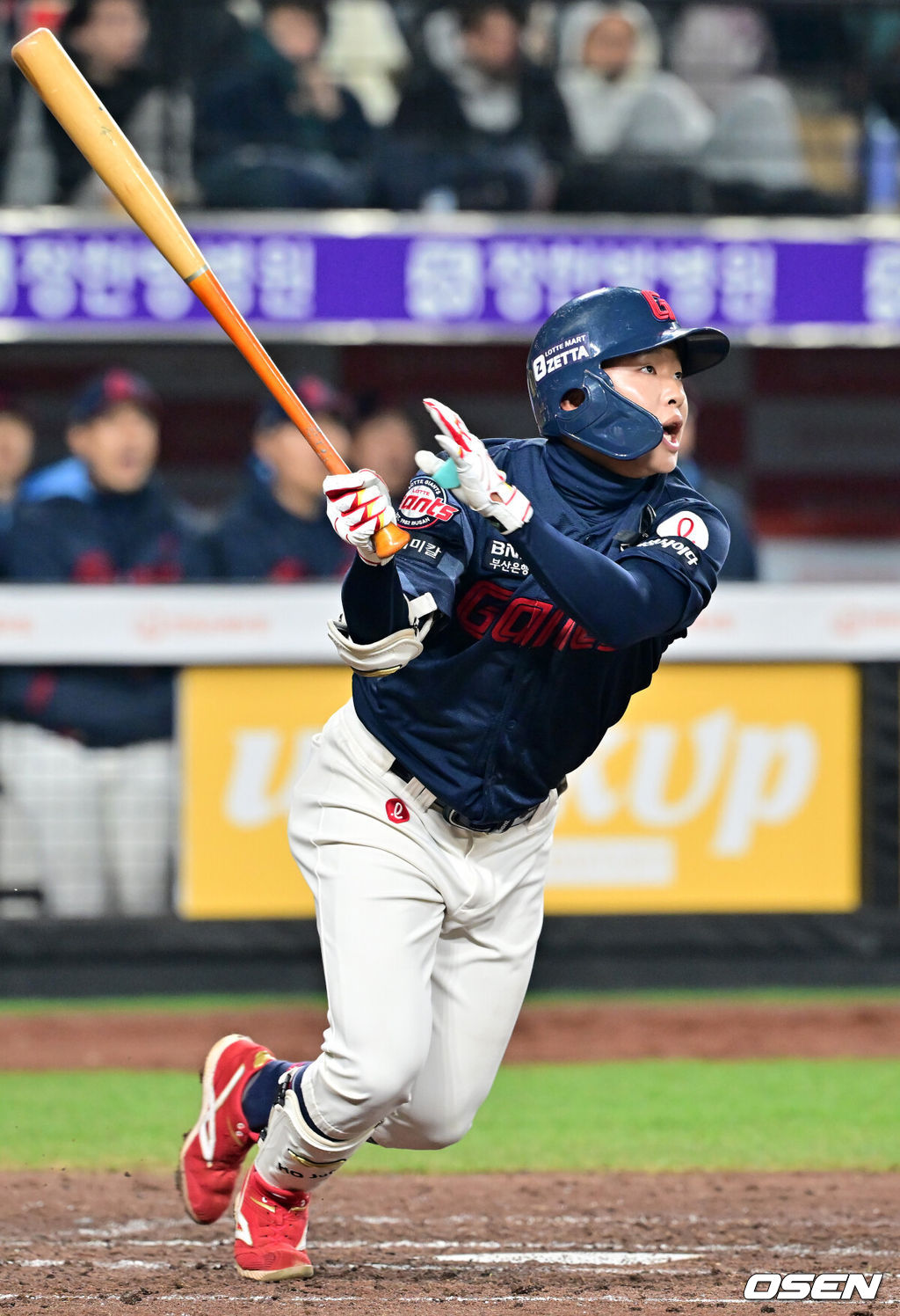 롯데 자이언츠 이호준. /OSEN DB