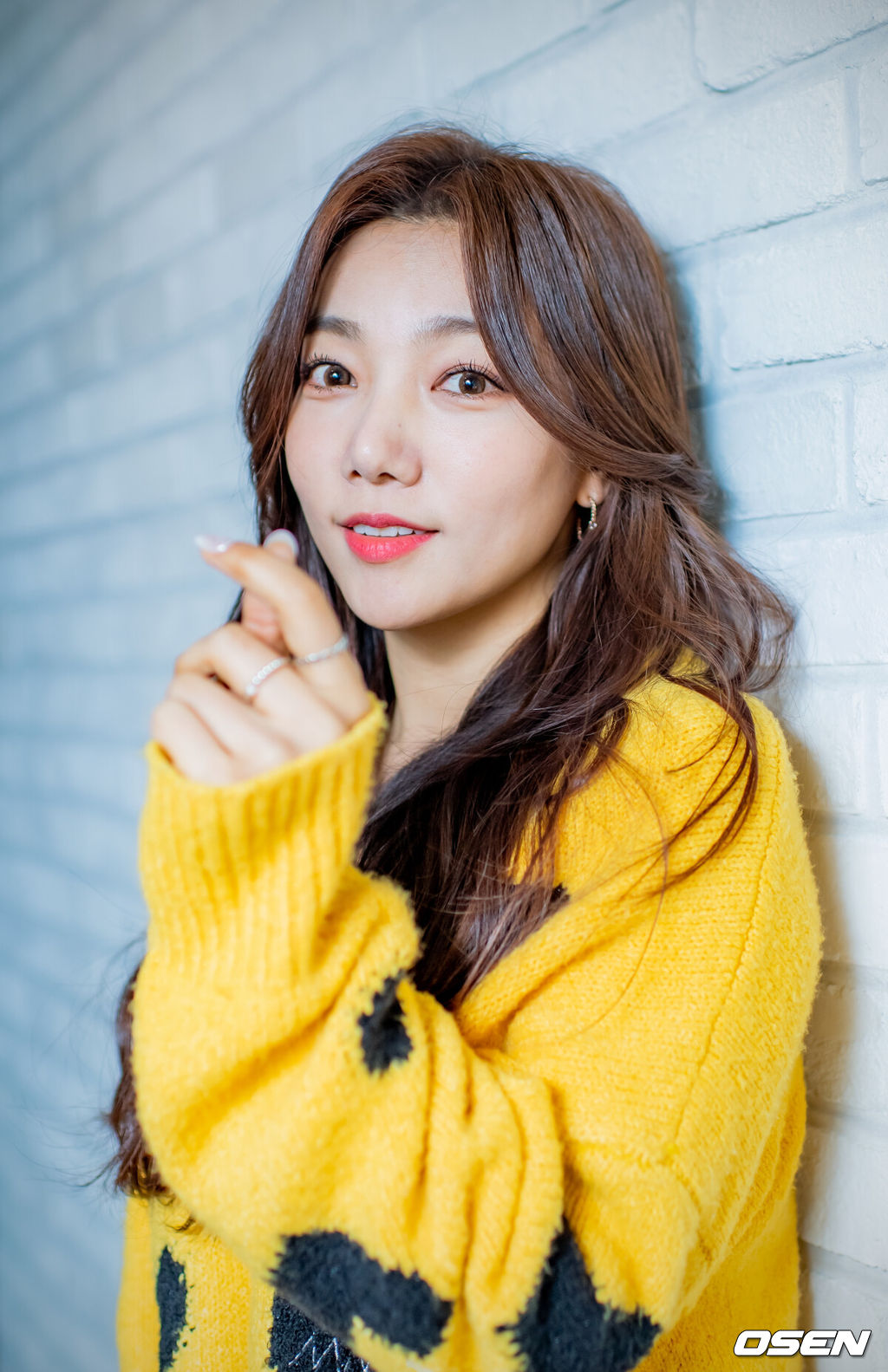 OSEN DB