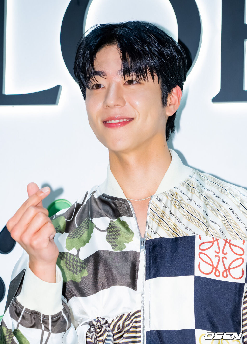 Chae Jong-hyeop /OSEN