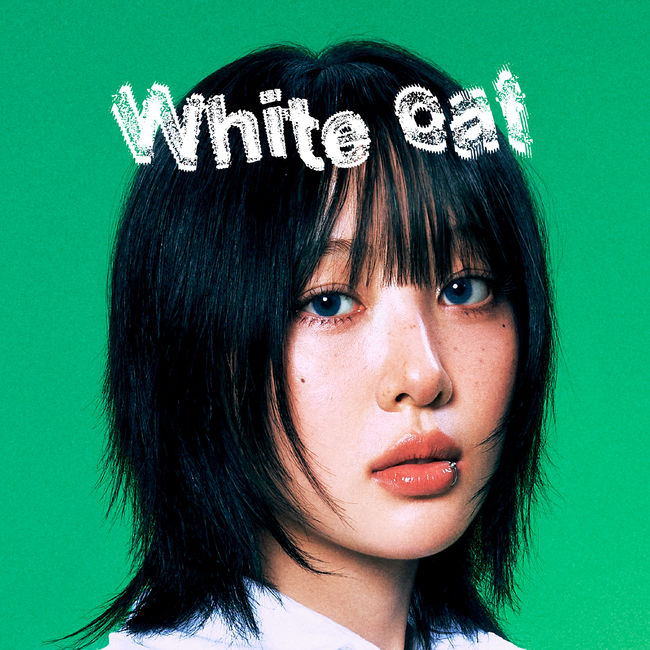 파익스퍼밀 제공
