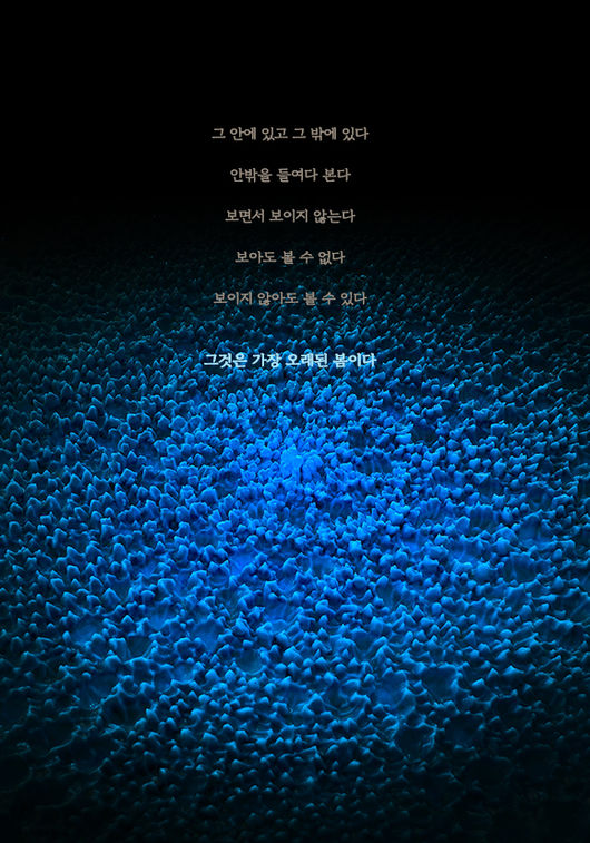 ENTOPTIMA, 별의 기억, Souffle, 아트파크 설치 작품 2025