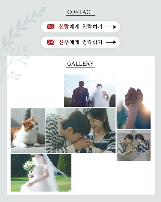tvN SNS