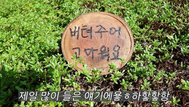 유튜브 영상 캡처