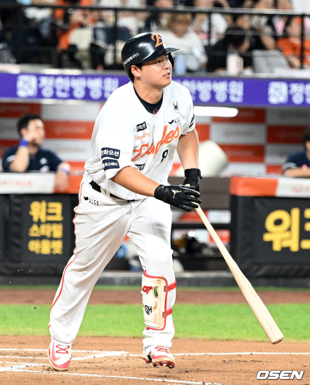 한화 이글스 노시환. /OSEN DB