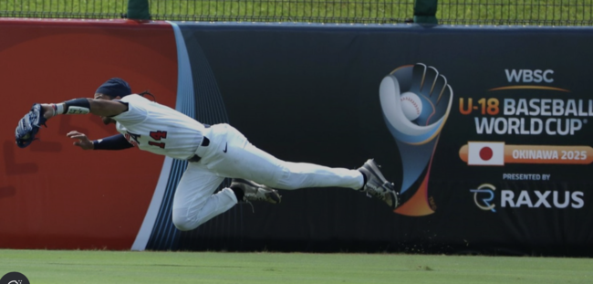 WBSC 제공