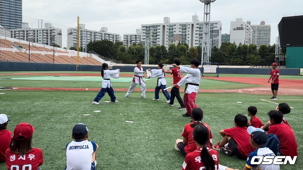 한국티볼연맹 제공