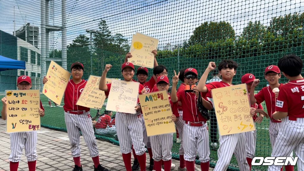 한국티볼연맹 제공