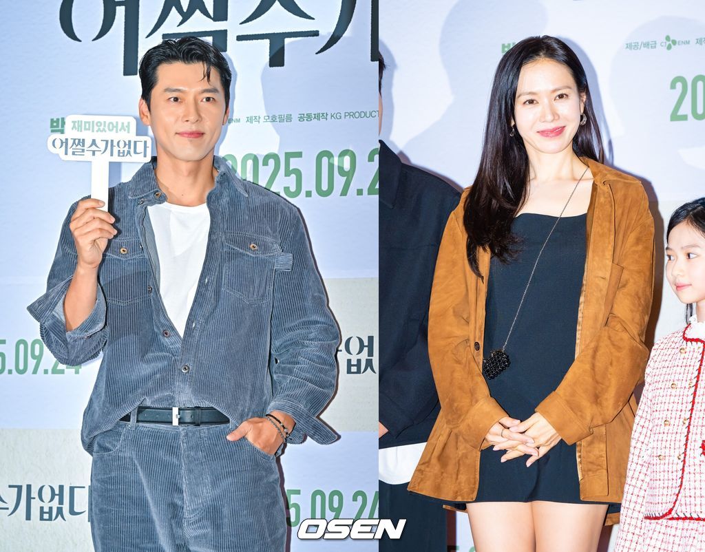 OSEN DB
