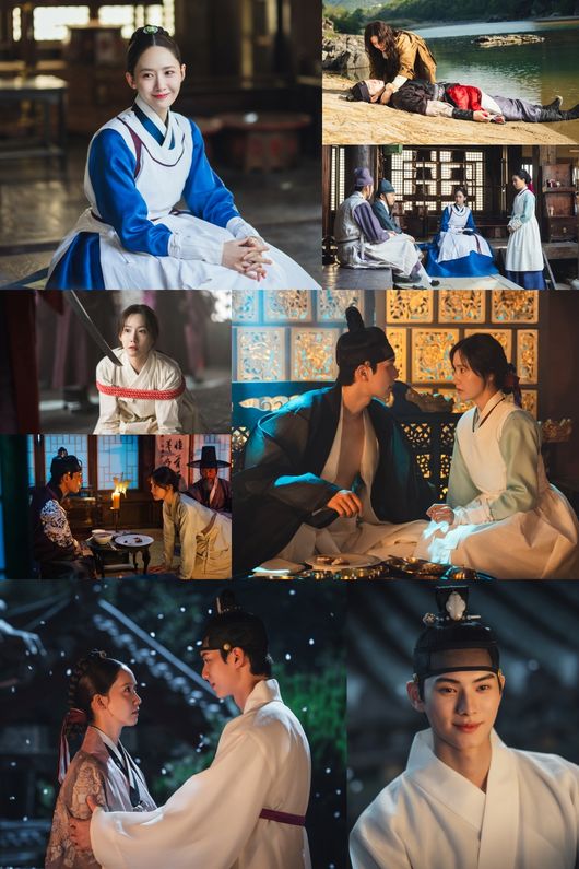 tvN 제공