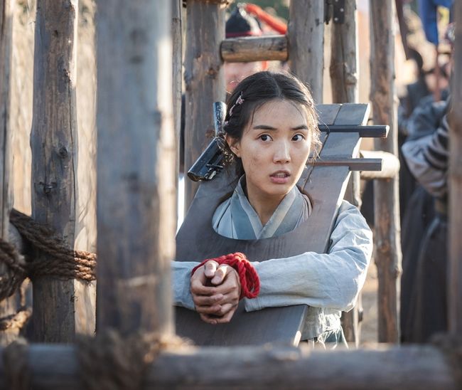 tvN 제공