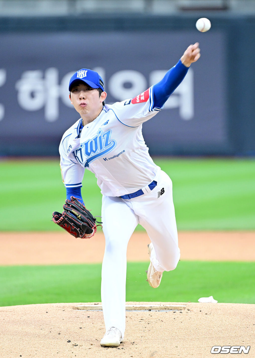 OSEN DB