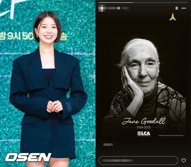 OSEN DB, 임세미 SNS