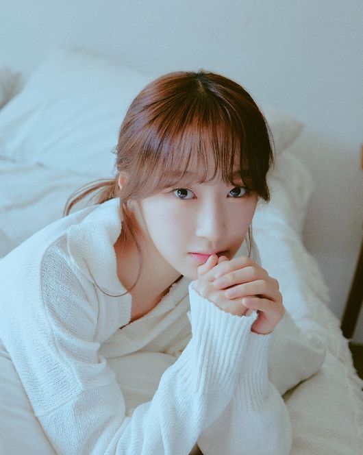 스타쉽엔터테인먼트 제공