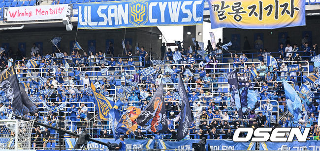 [OSEN=울산, 이석우 기자] 18일 울산 문수축구경기장에서 하나은행 K리그1 2025 울산 HD와 광주FC의 경기가 열렸다.  신태용 감독 경질을 두고 후폭풍이 몰아친 울산은 급격히 무너져 강등권까지 추락했고, 반면 광주FC는 파이널A 진출의 마지막 불씨를 살리기 위해 총력전에 나섰다.울산 HD 팬들이 응원을 하고 있다. 2025.10.18 / foto0307@osen.co.kr