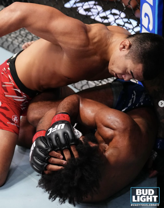 [사진] UFC