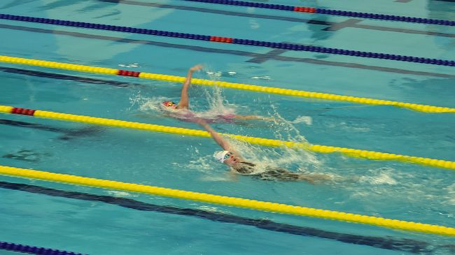 대구시장애인체육회 제공