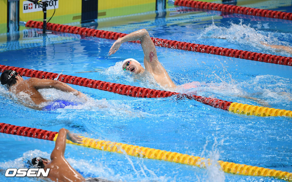 24일(현지시간) 인도네시아 자카르타 겔로라 붕 카르노(GBK) 아쿠아틱스타디움 경기장에서 2018 자카르타-팔렘방 아시안게임 수영 남자 1500M 자유형 결승 경기가 열렸다.중국 쑨양이 역영을 펼치고 있다./sunday@osen.co.kr