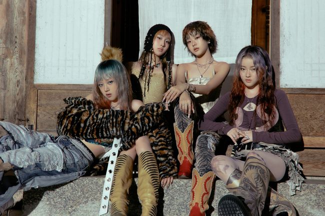 이고이엔티 제공