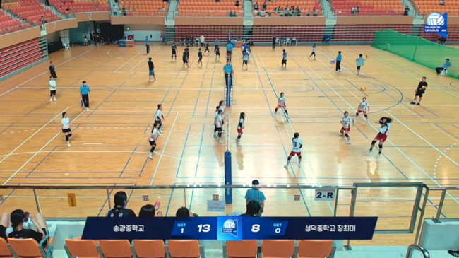 대한배구협회 제공