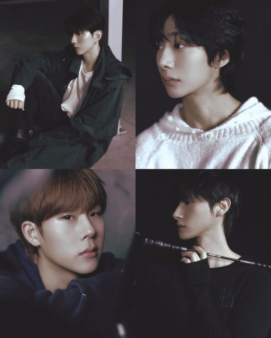 스타쉽엔터테인먼트 제공