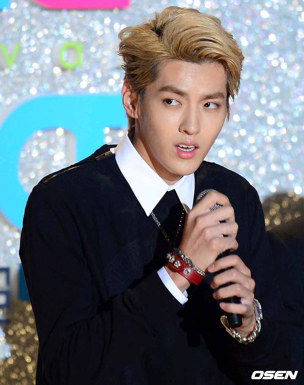 9일 오후 서울 잠실 올림픽주경기장에서 '2013 아시아송페스티벌'이 열렸다.그룹 엑소 크리스가 진행을 하고 있다.'아시아송페스티벌'에는 슈퍼주니어 은혁, 2PM 택연, EXO 크리스가 MC로 발탁됐으며, 엑소, 2PM, 걸스데이, 블락비 등 다양한 그룹들이 출연했다.뿐만 아니라 국내 가수를 비롯해 일본, 인도네시아, 필리핀, 홍콩 가수들 역시 출연, 페스티벌의 완성도를 더욱 높였다.한국음악콘텐츠산업협회는 '아시아송페스티벌'을 통해 "문화교류 활성화 및 이를 통한 각국의 이해관계 증진에 기여하는 대중음악의 장을 마련하겠다"고 전했다./sunday@osen.co.kr