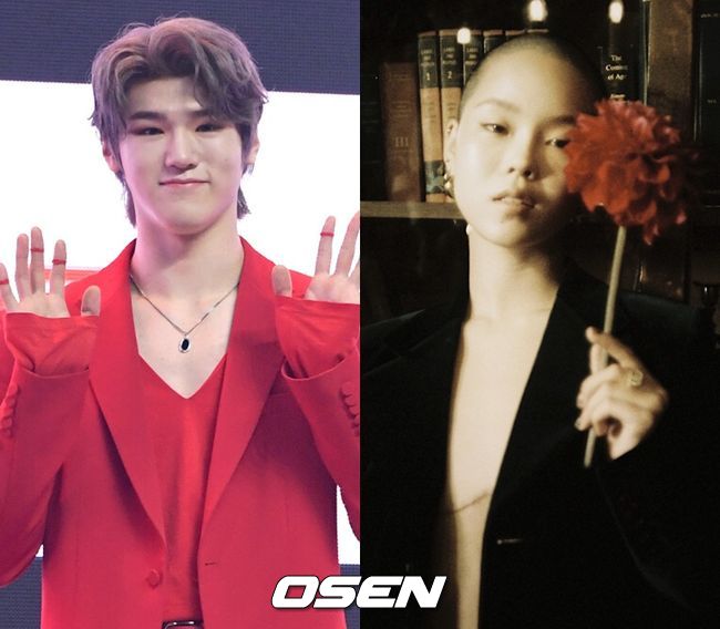 OSEN DB, XGALX 제공