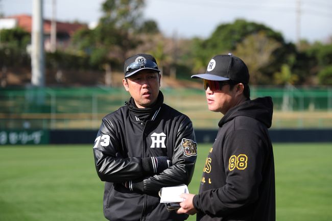 한신 타이거즈 제공