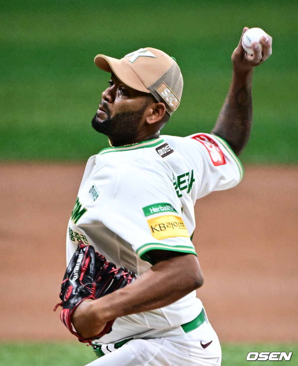 키움 히어로즈 라울 알칸타라. /OSEN DB